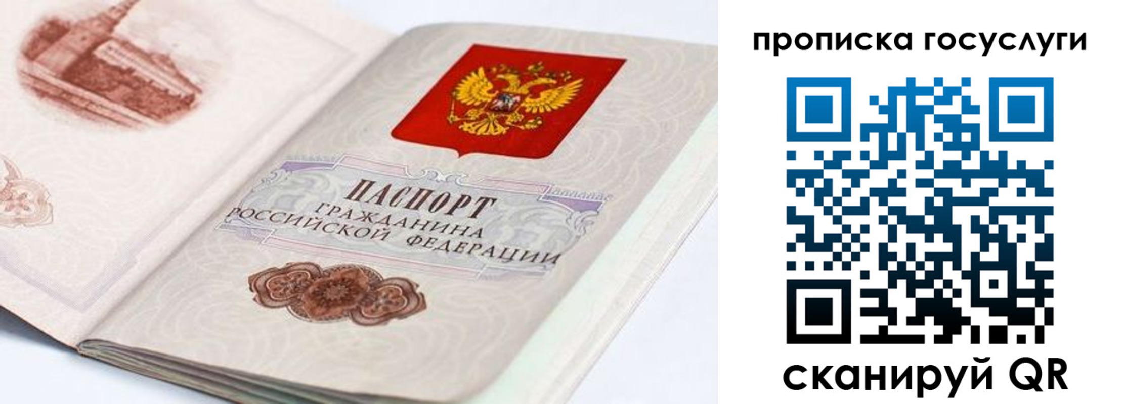 прописка регистрация в Камышлове